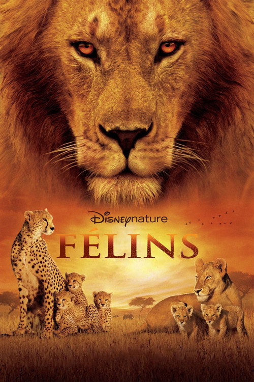 Félins