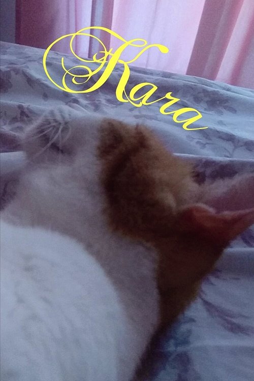 KARA movie poster player