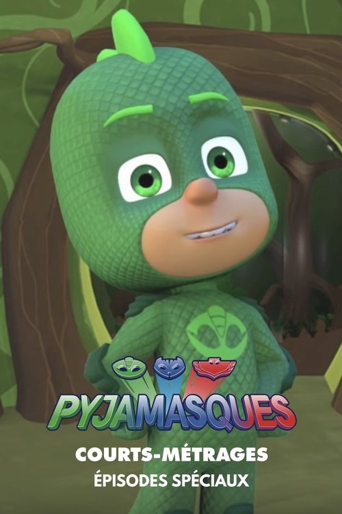 Poster de la saison 0