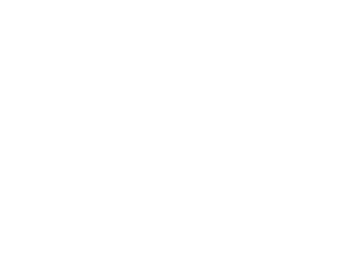 Lilo & Stitch