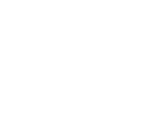 The Slut