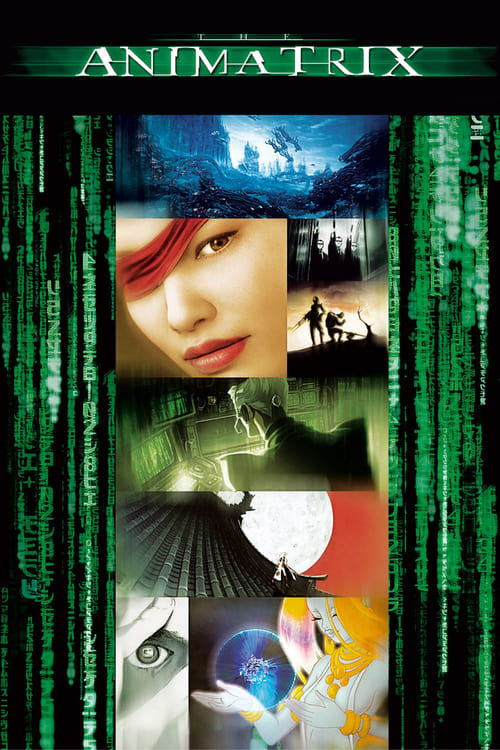 Largescale poster for The Animatrix