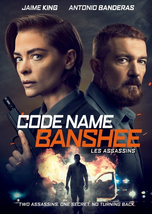 Poster image du film Code Name Banshee Code Name Banshee