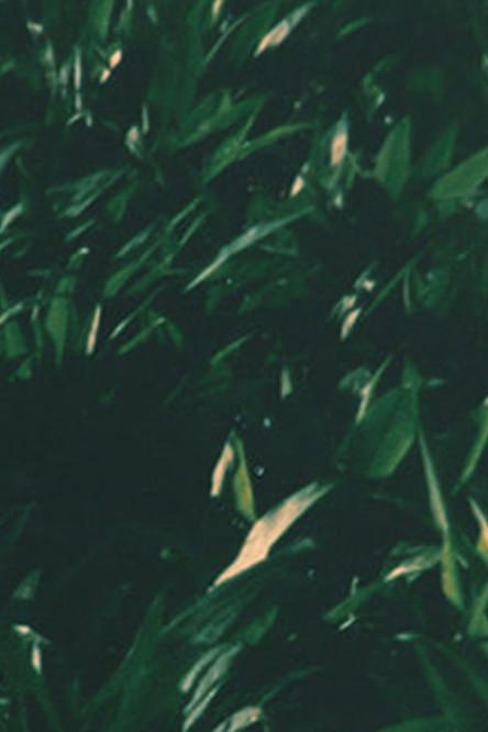 yesterday and yesterday poster