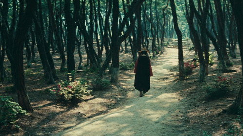 Legend of the Mountain