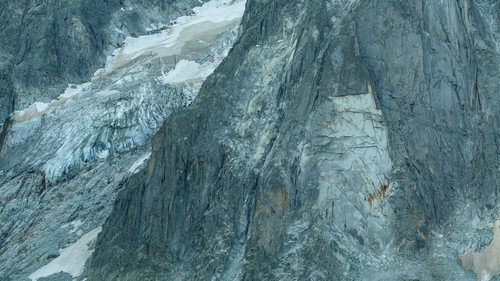Pacheû Backdrop Blur