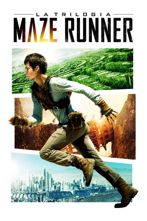 Maze Runner - Collezione