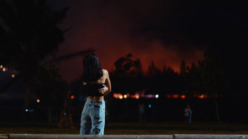 Les Cendres Du Coeur