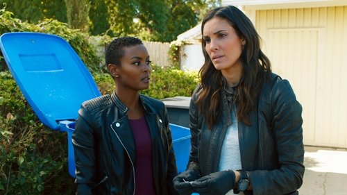 NCIS: Los Angeles, S09E12 - (2018)