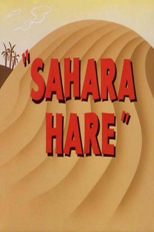 Sahara Hare 1955