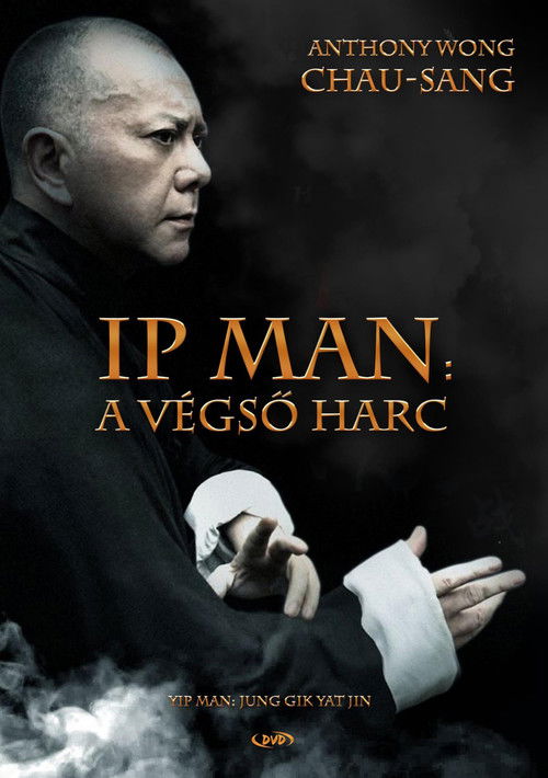 Ip Man: The Final Fight poster