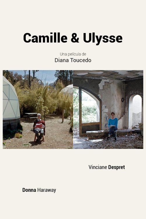 Camille & Ulysse movie poster player
