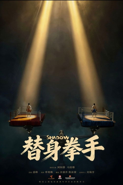 替身拳手 poster