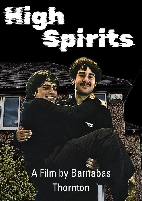 High Spirits poster