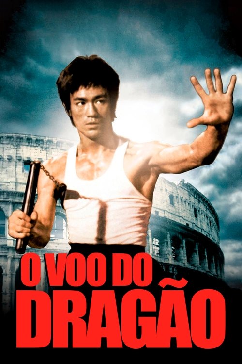 Pôster de O Voo do Dragão