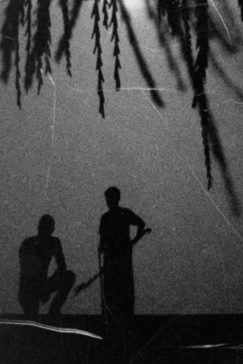 Beyond the Shadows poster