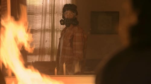 Poster della serie Waco