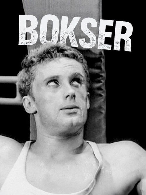 Affiche du film Bokser