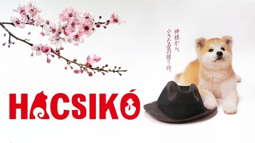 Hachiko image 6