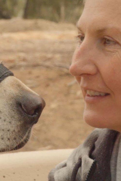 Thank You for Your Service poster