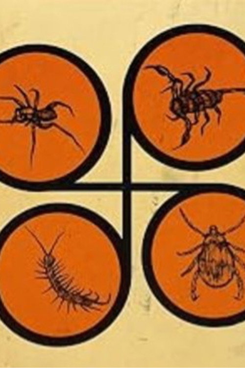 Spiders and Flies poster