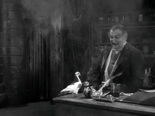 The Munsters: 2×4