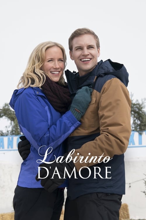 Amazing Winter Romance poster