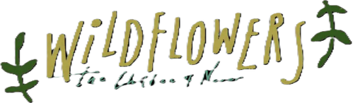 Wildflowers - The Children of Never