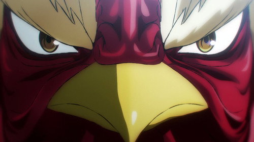 Rooster Fighter: 1×1