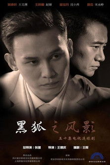 Escena 6 de 黑狐之风影