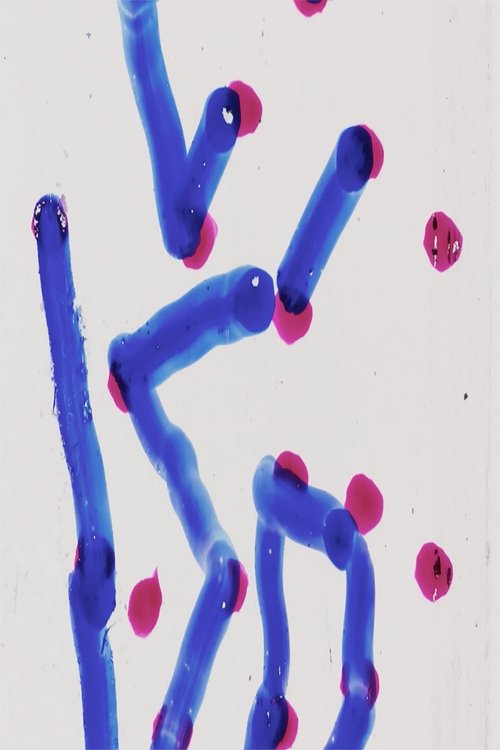 Scatter Brain movie poster player