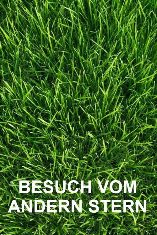 Besuch vom andern Stern