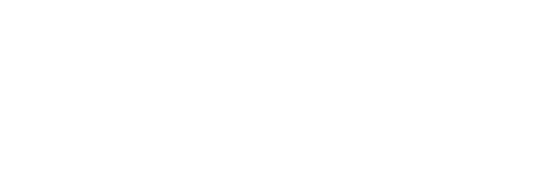 The Slavs