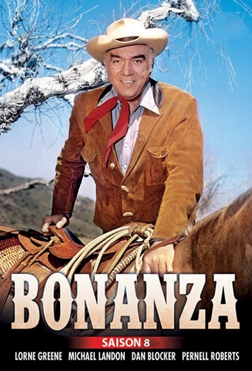 Poster de la saison 8