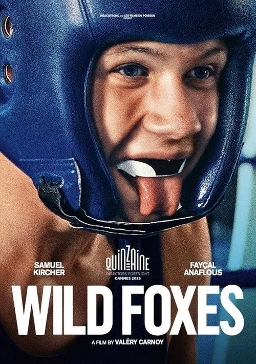 Wild Foxes poster