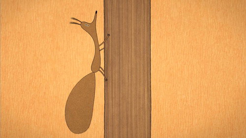 La naissance des oasis (Programme)