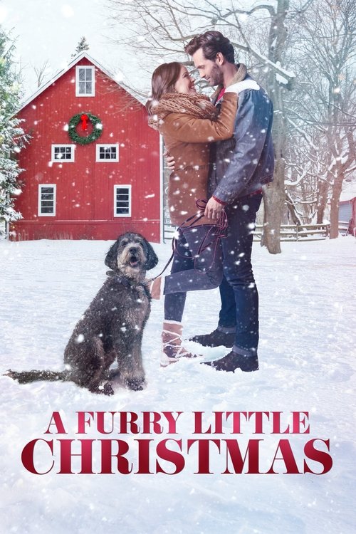 A Furry Little Christmas - 2021 A Furry Little Christmas - 2021