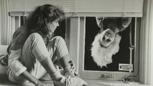 Image du film