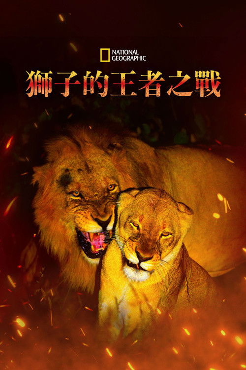Game of Lions poster