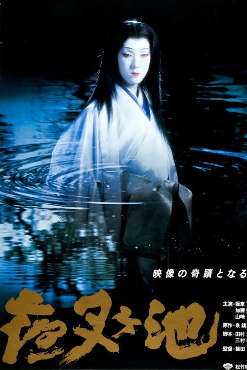 Demon Pond poster