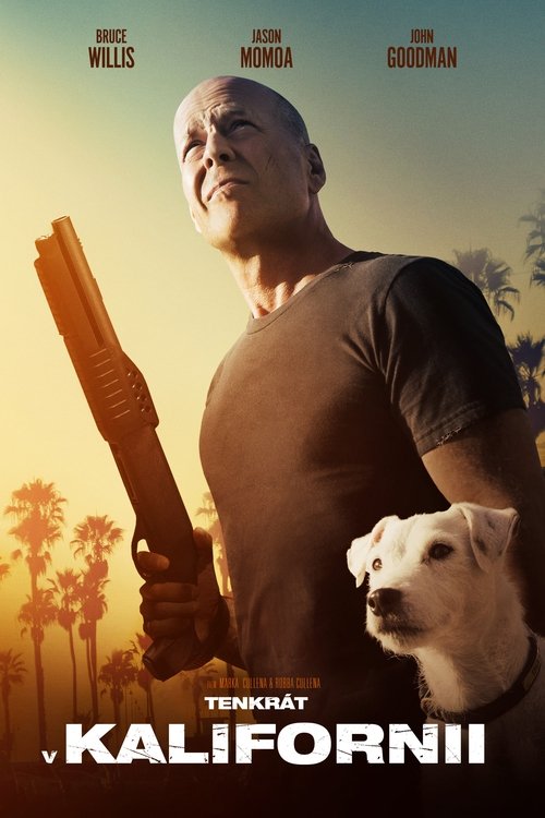 Tenkrát v Kalifornii movie poster player