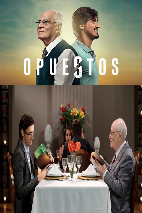 Affiche de Opostos