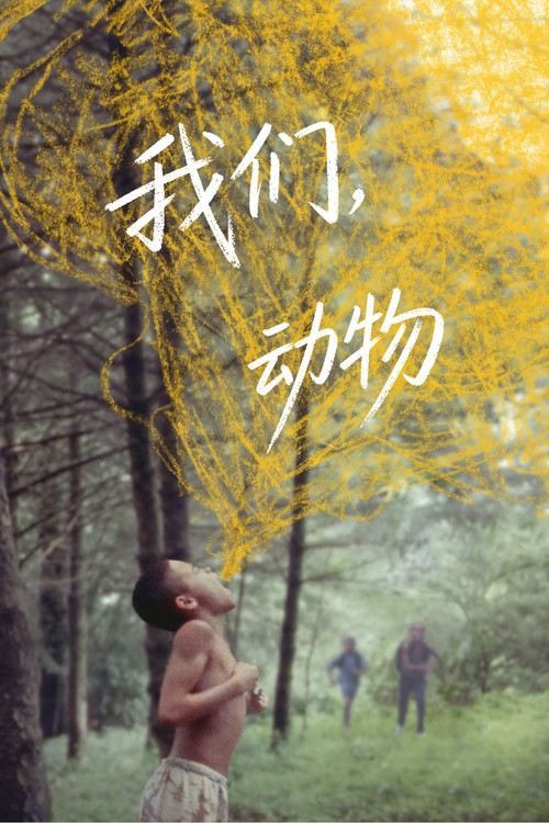 我们，动物