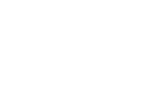 Neighbors from Hell