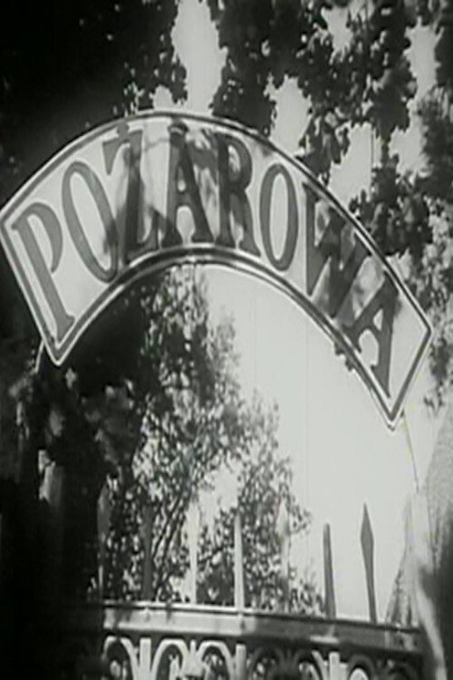 Pożarowisko movie poster player