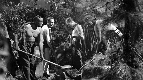 Revenge of the Zombies