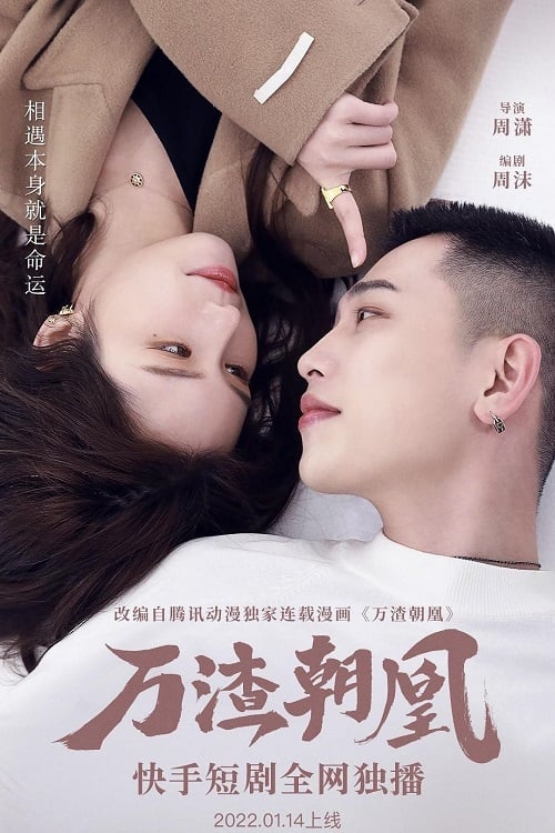 Poster Image for 万渣朝凰