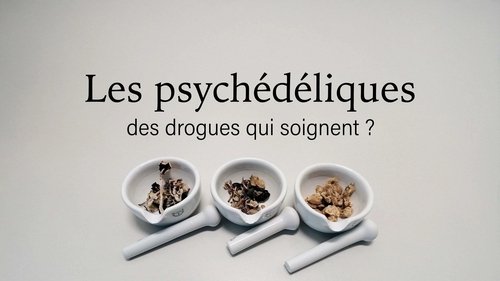 /o2EGtczcY3YUagN7NIsP4p7zawW.jpg