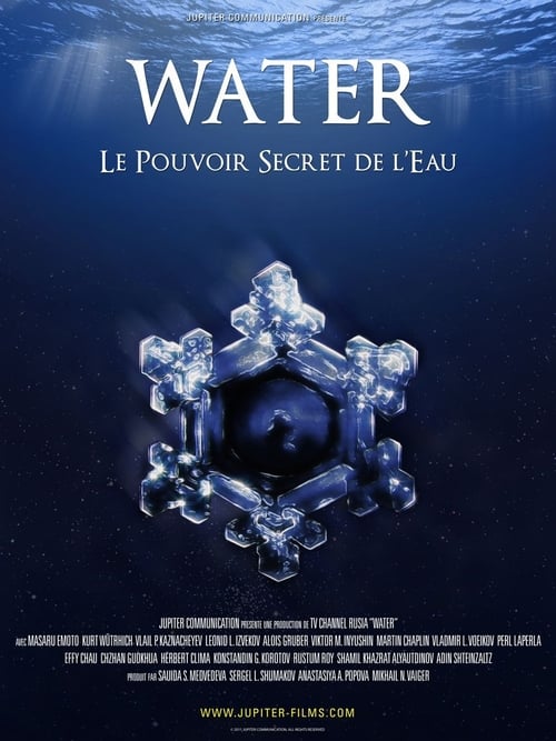 Water, Le Pouvoir Secret de l'Eau (2006)