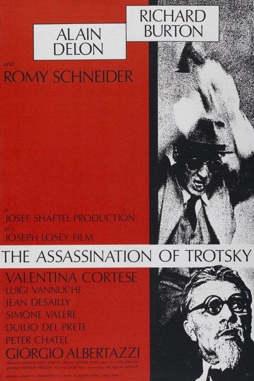 Poster 5